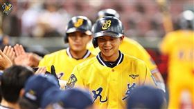 ▲中信兄弟岳政華。（圖／中信兄弟球團提供）