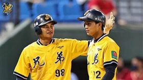 ▲中信兄弟岳政華。（圖／中信兄弟球團提供）