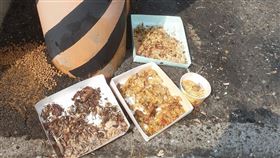 原PO表示，新鄰居用廚餘餵養流浪動物。（圖／翻攝自《爆廢公社》）