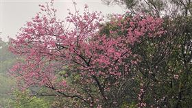 新北農業局雙泰產業道路(業配勿用)