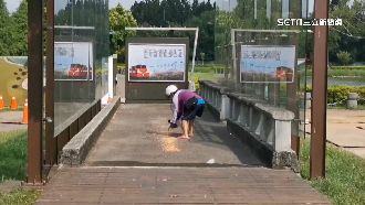 百隻鳥跟著她！北香湖公園騎士「遛麻雀」