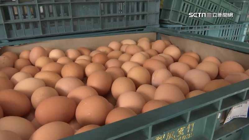 母雞老了缺「新生力軍」　蛋農憂持續缺蛋