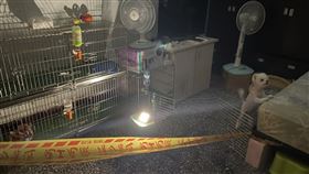 新北市一處鐵皮屋昨日發生火警，意外發現該處是非法養殖場，動保處今對尤姓飼主開罰百萬元。（圖／動保處提供）