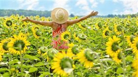 ▲9月25日至10月1日生肖運勢。（示意圖／PIXABAY）