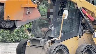 小山貓熟練剷路　駕駛現身網傻眼：小孩？