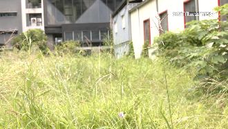 空地雜草逾50公分算汙染　地主遭罰1200元