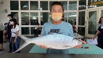 選「虱貴妃」量身高體重　BMI值最大奪冠