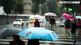 rain(記者陳弋攝影)