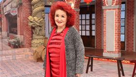 陳今佩
圖／中視提供