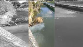 日月潭，偷排廢水，惡臭牛奶湖，向山自行車步道 (圖／翻攝畫面)