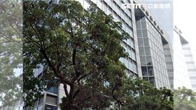 台一國際公司。（圖／翻攝自Google map）