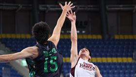 范士恩。(圖/中華籃協提供)