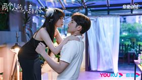 ▲虞書欣（左）與張彬彬（右）主演陸劇《兩個人的小森林》。（圖／翻攝自微博兩個人的小森林）