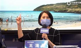 維基遭改「無恥政客、老公吃軟飯」王鴻薇：這些奧步掩蓋不了真相

王鴻薇臉書