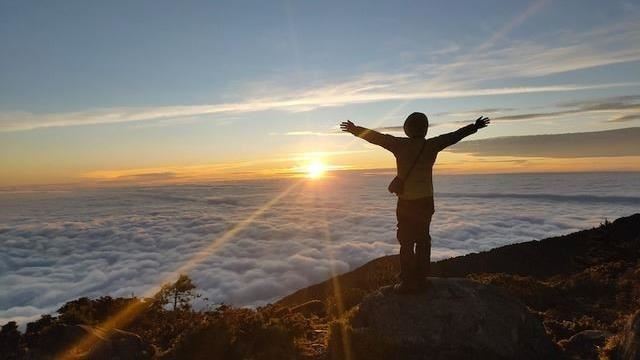 山林旅遊蔚為風潮　精選六大跨年山林行程