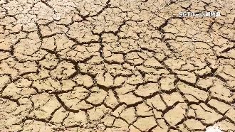 地下水「震」沒了？池上富興村稻恐枯死