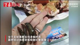 她掰斷龍蝦2隻鉗子　店家煮完驚見「長回來了」（圖／翻攝自萬象新聞微博）