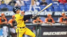 江坤宇炸裂，敲出關鍵致勝2分砲。（圖／中信兄弟提供）