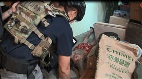 天道盟,南寮國,攻堅,（圖／翻攝畫面）