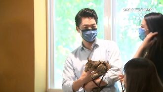 藍白支持度緊咬！蔣萬安支持度29.6％