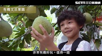 親子四季樂遊 八里桃樂絲柚香農場