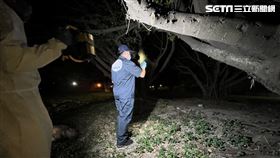 焦屍,河濱公園,鑑識,三重,翻攝畫面