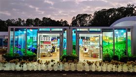 南投茶業博覽會　米其林級好茶送優惠