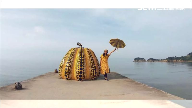 國門解封！海外旅遊超夯、電商業績漲8成