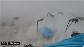 巨獸颶風掀巨浪吞民宅　街道上驚見鯊魚