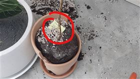 外送,花盆,賠償（圖／翻攝自臉書《外送員的奇聞怪事》）