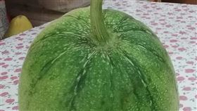 蘋果絲瓜https://www.facebook.com/photo/?fbid=3245091015743590&set=gm.1532438800525855&idorvanity=455719458197800