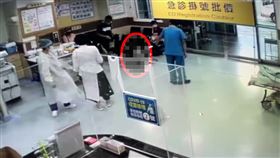 虐童,屏東,親生母親,同居人