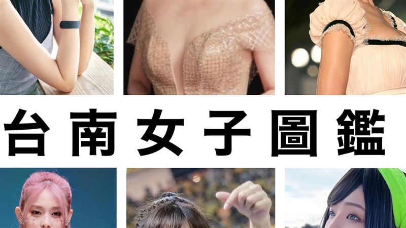 台南女子圖鑑出爐！周子瑜、峮峮皆上榜