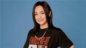 徐佳瑩 艾怡良 盧廣仲 林宥嘉 台視提供