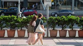 天氣/秋老虎(記者陳弋攝影)