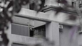 人蛇集團,柬埔寨,豬仔,蛇王,鄰居 ,作惡多端,走歹路