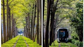 高雄,陳其邁,輕軌,龍貓隧道