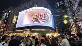 有業者將3D立體「士林萌虎」投射在士林夜市裡，引起民眾圍觀搶拍。（圖／記者游定剛拍攝）
