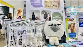 台港聯手救浪浪（業配勿用）