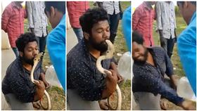 抓到眼鏡王蛇！大膽男興奮嘟嘴…下秒「慘被蛇吻」緊急送醫（圖／翻攝自@htTweets推特）