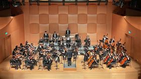 台南,高雄,奇美音樂節,查理九世,古老,大提琴,