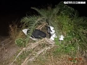 屏東,海陸,酒駕,騎士