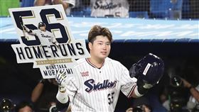 ▲村上宗隆單季56轟。（資料照／取自養樂多燕子FB）