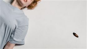 蟑螂。（圖／翻攝自pexels）