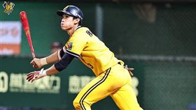 兄弟陳文杰猛打賞獲選MVP。（圖／中信兄弟提供）