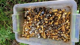 烏克蘭，哈爾科夫州東部，皮斯基拉德奇夫斯基村（Pisky-Radkivski），地下室拷問室，刑求，大量假牙(圖／翻攝自波爾維諾夫臉書)
