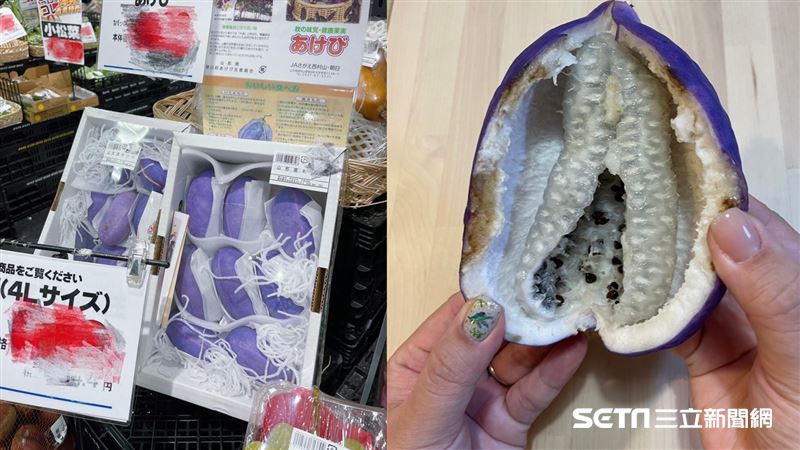 獨／只出現2週的惡魔果實　她曝試吃心得