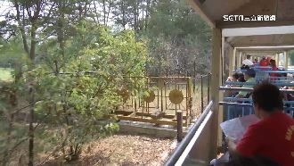 彰化訂房率倒數　溪湖小火車遭怨只見雜草