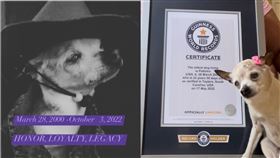 （圖／翻攝自pebbles IG）