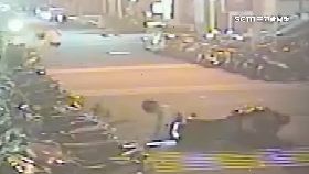 文 八米狗繩摔1200